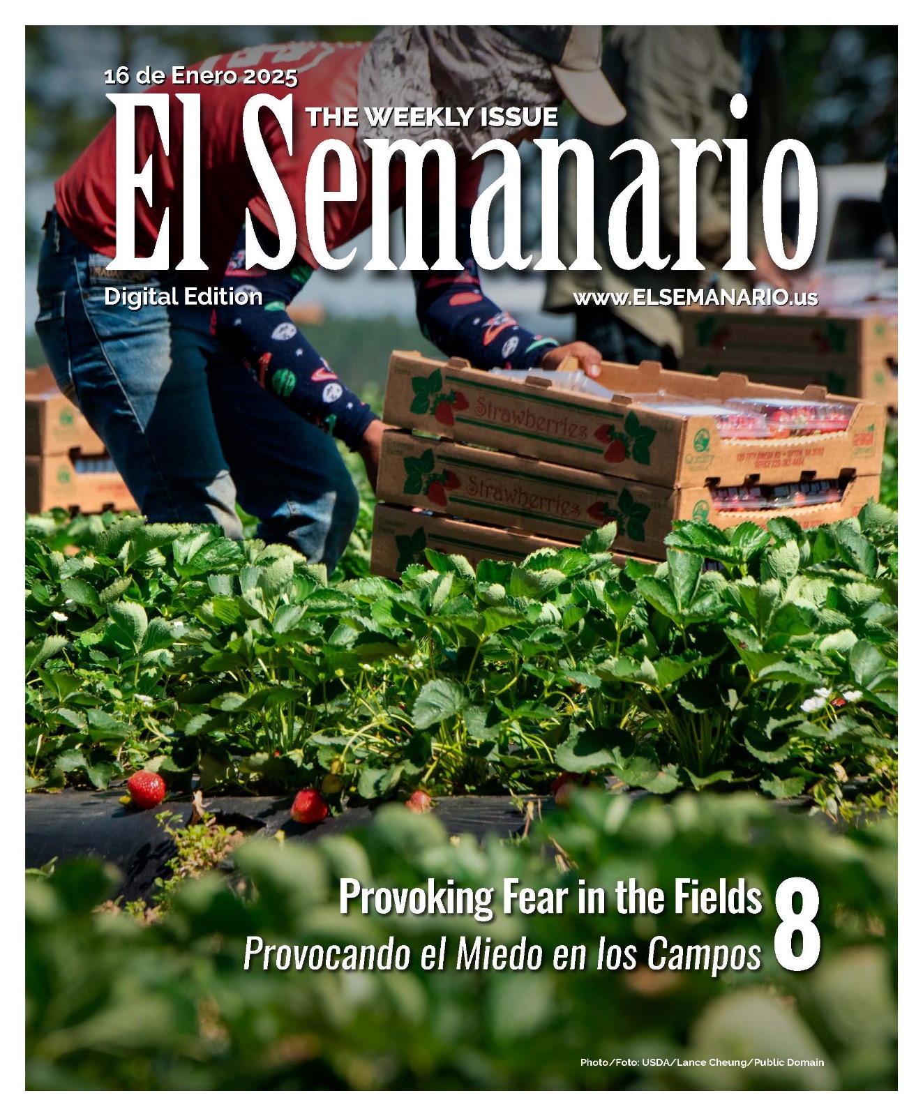 The Weekly Issue El semanario 16 01 25